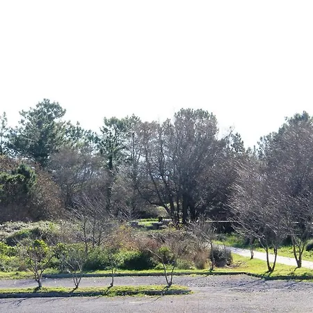 Langosteira Finisterra